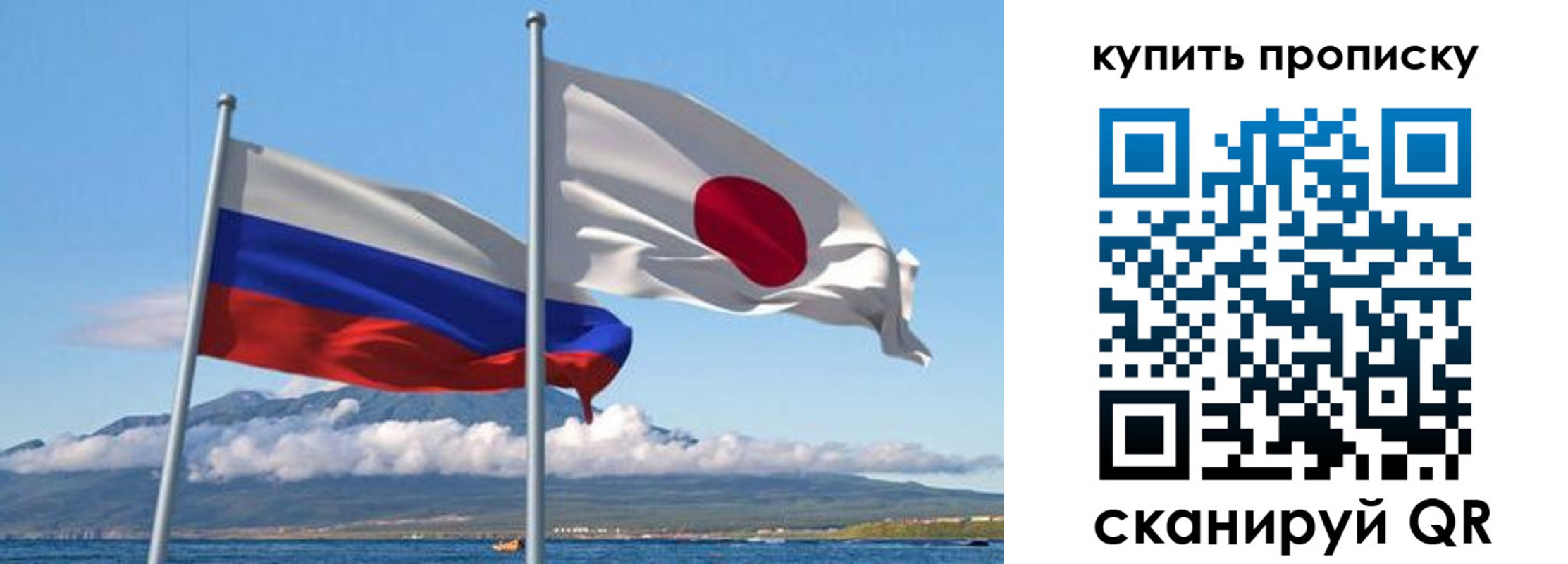 временная регистрация для всех в Коле