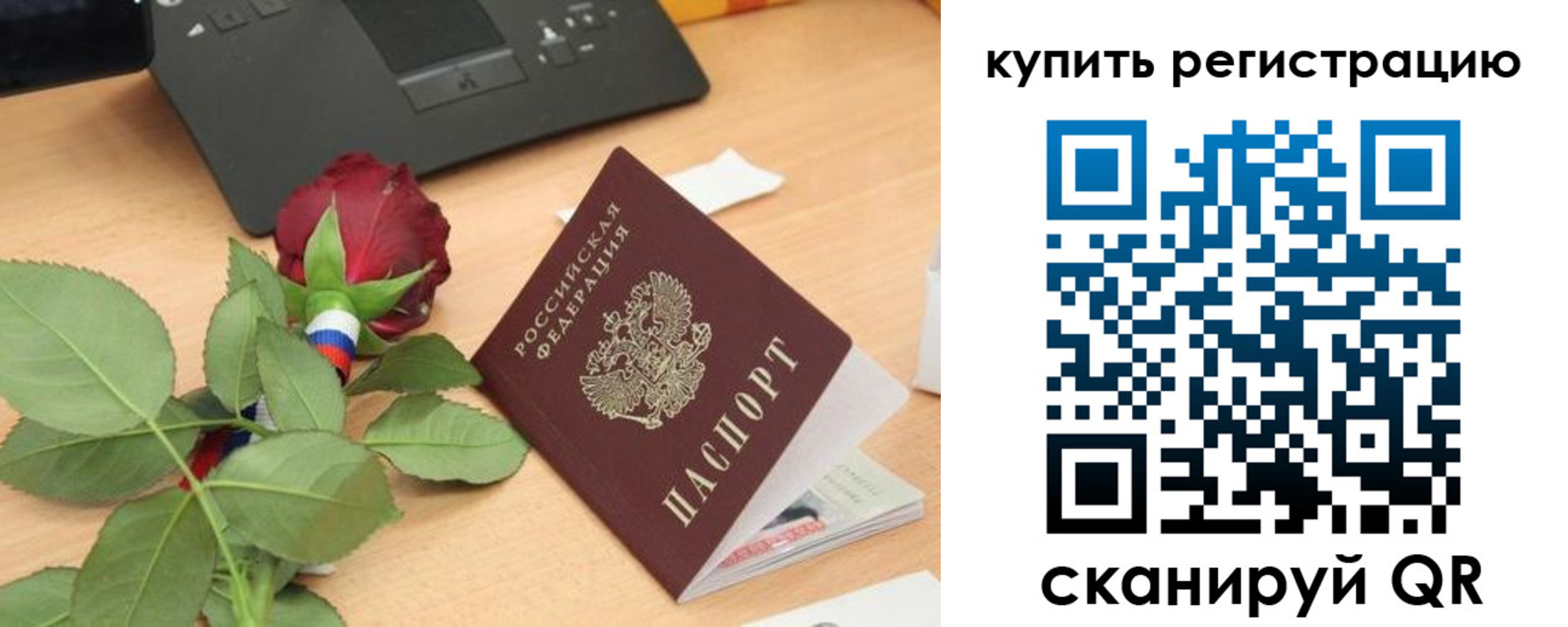 прописка 2025 в Коле