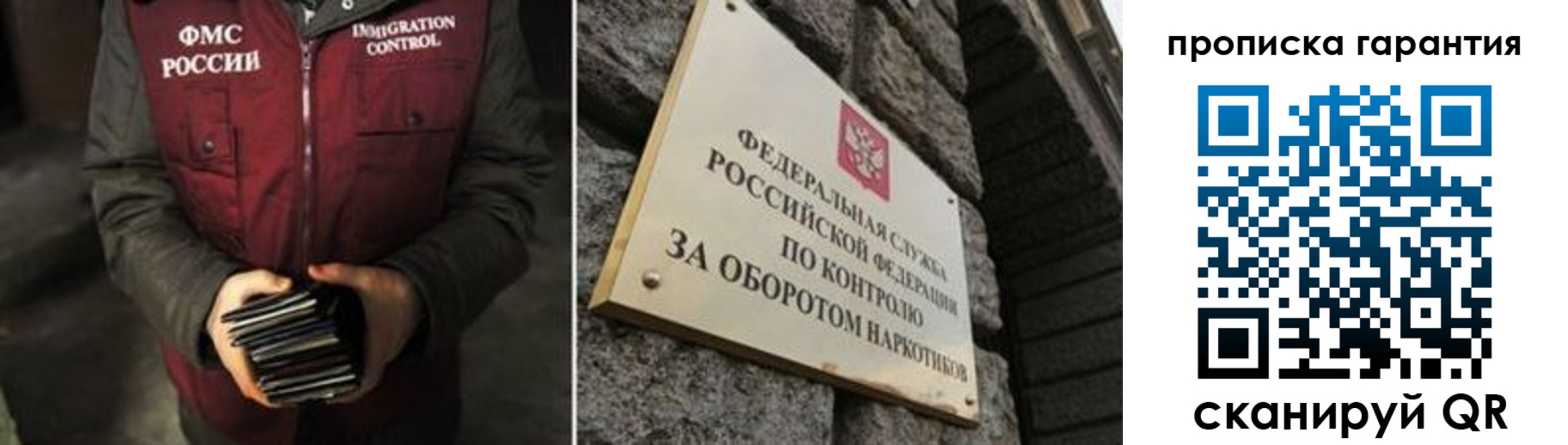 где прописаться в Коле